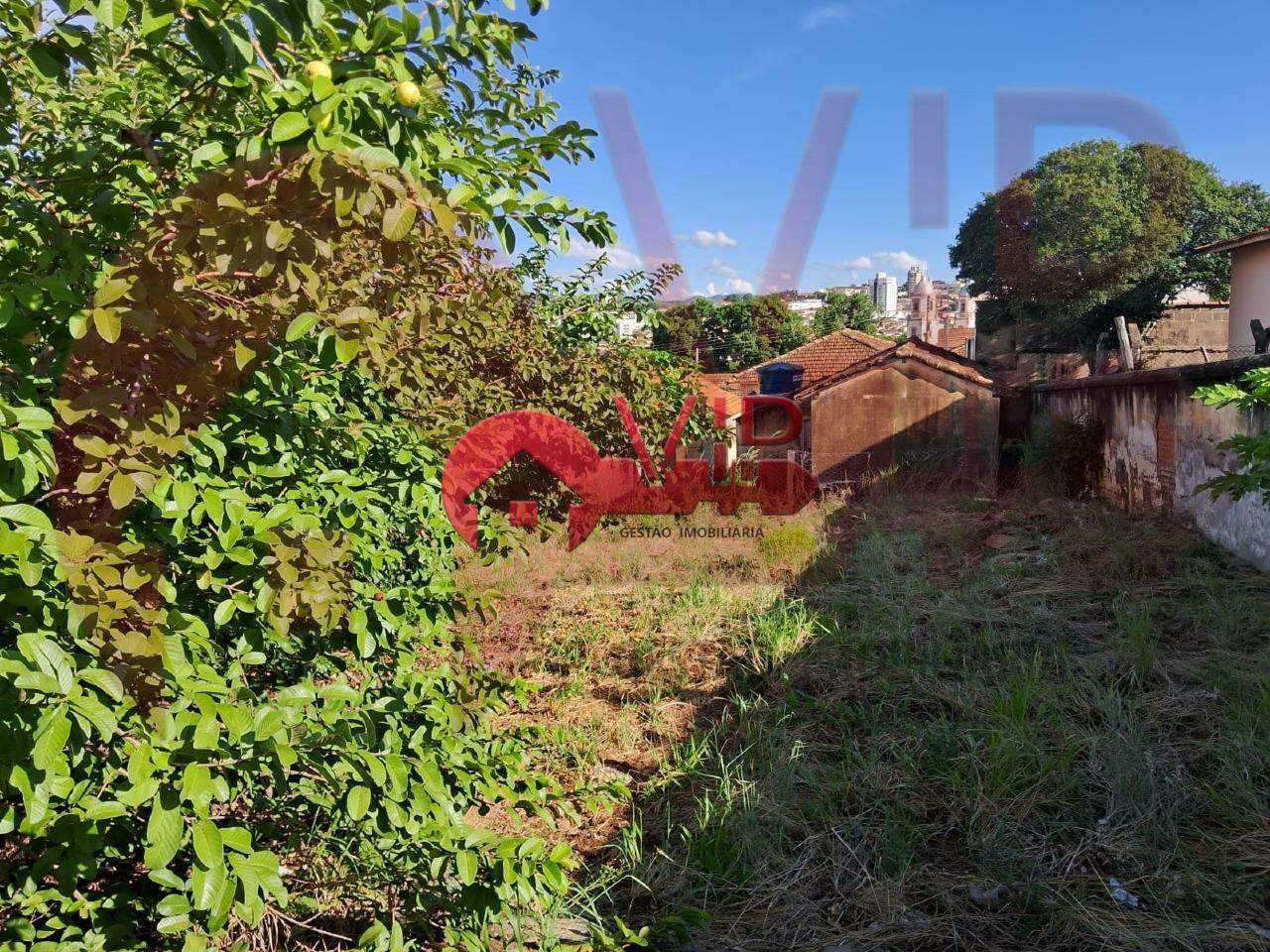 Terreno à venda no Santo Antônio: 