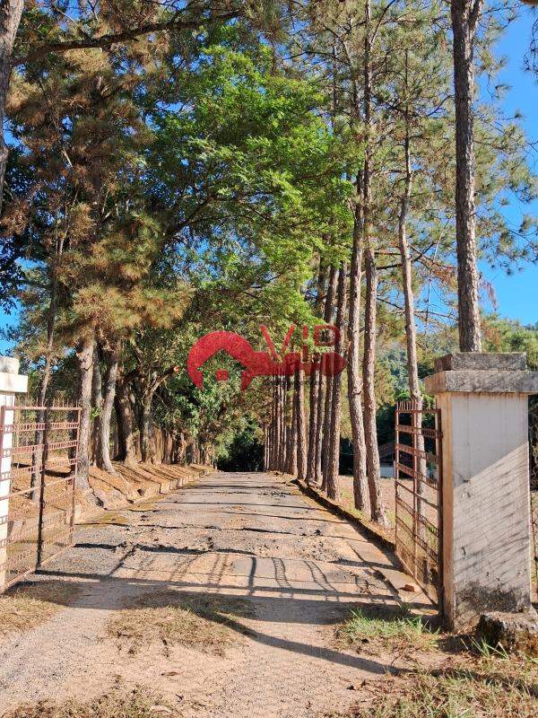 Chácara à venda no Vila Formosa: 