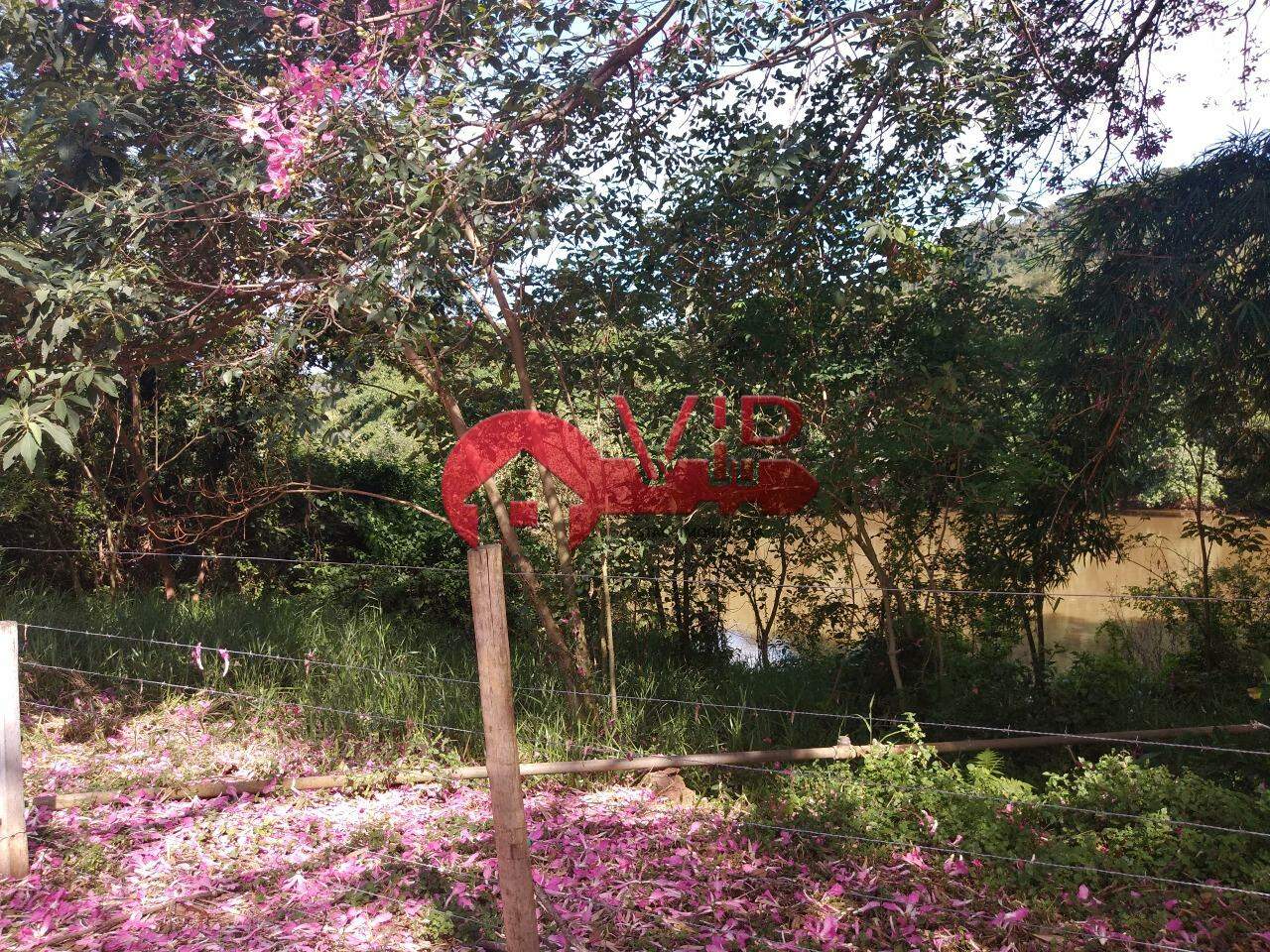 Sítio à venda no Vila Formosa: Vista Rio