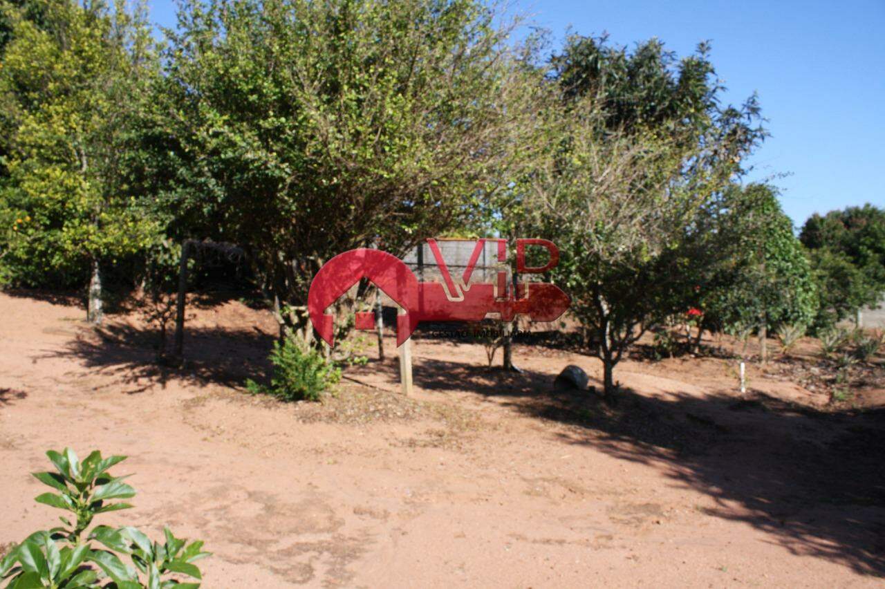 Chácara à venda no Bonsucesso: Pomar