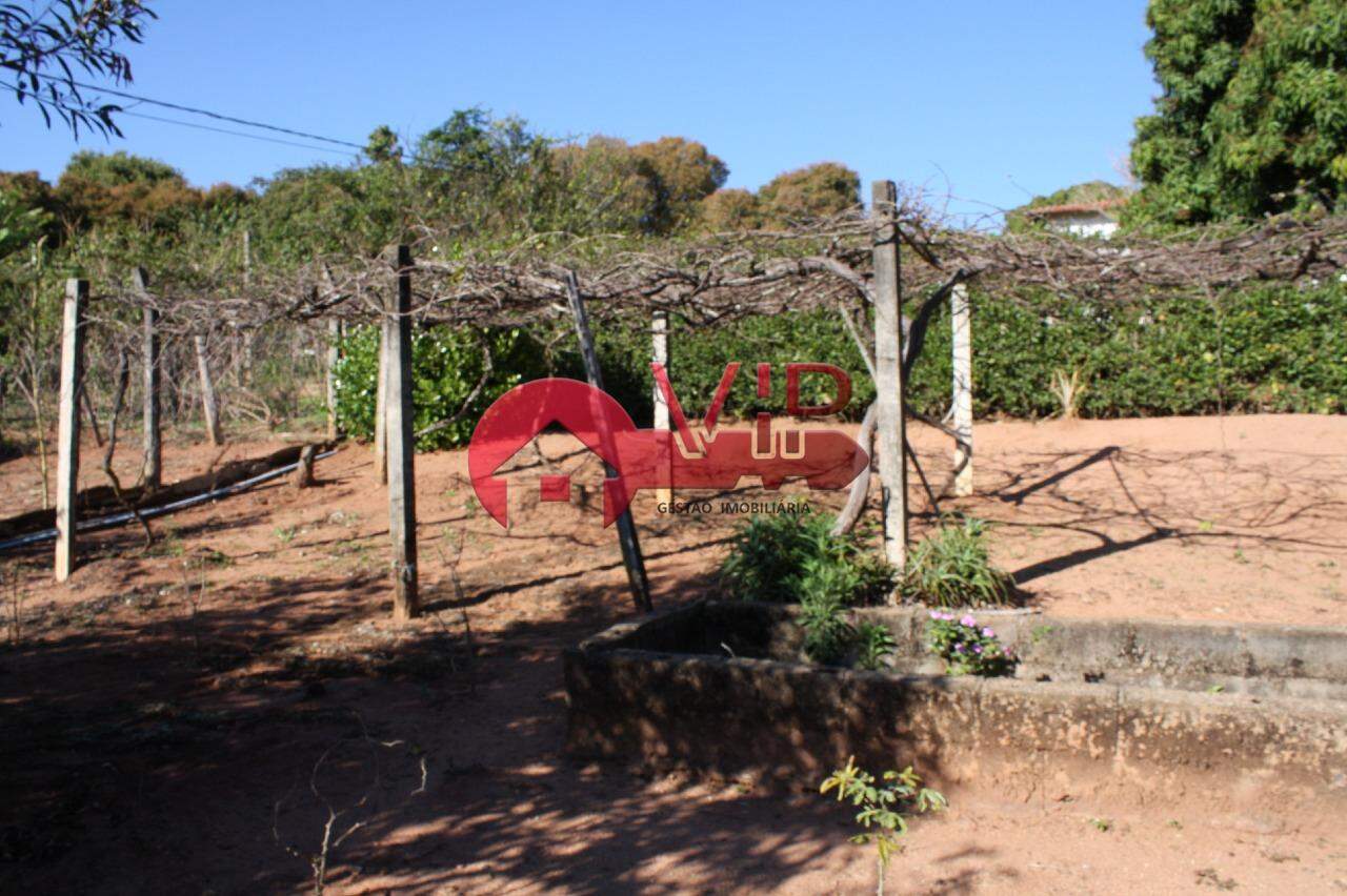 Chácara à venda no Bonsucesso: Pomar