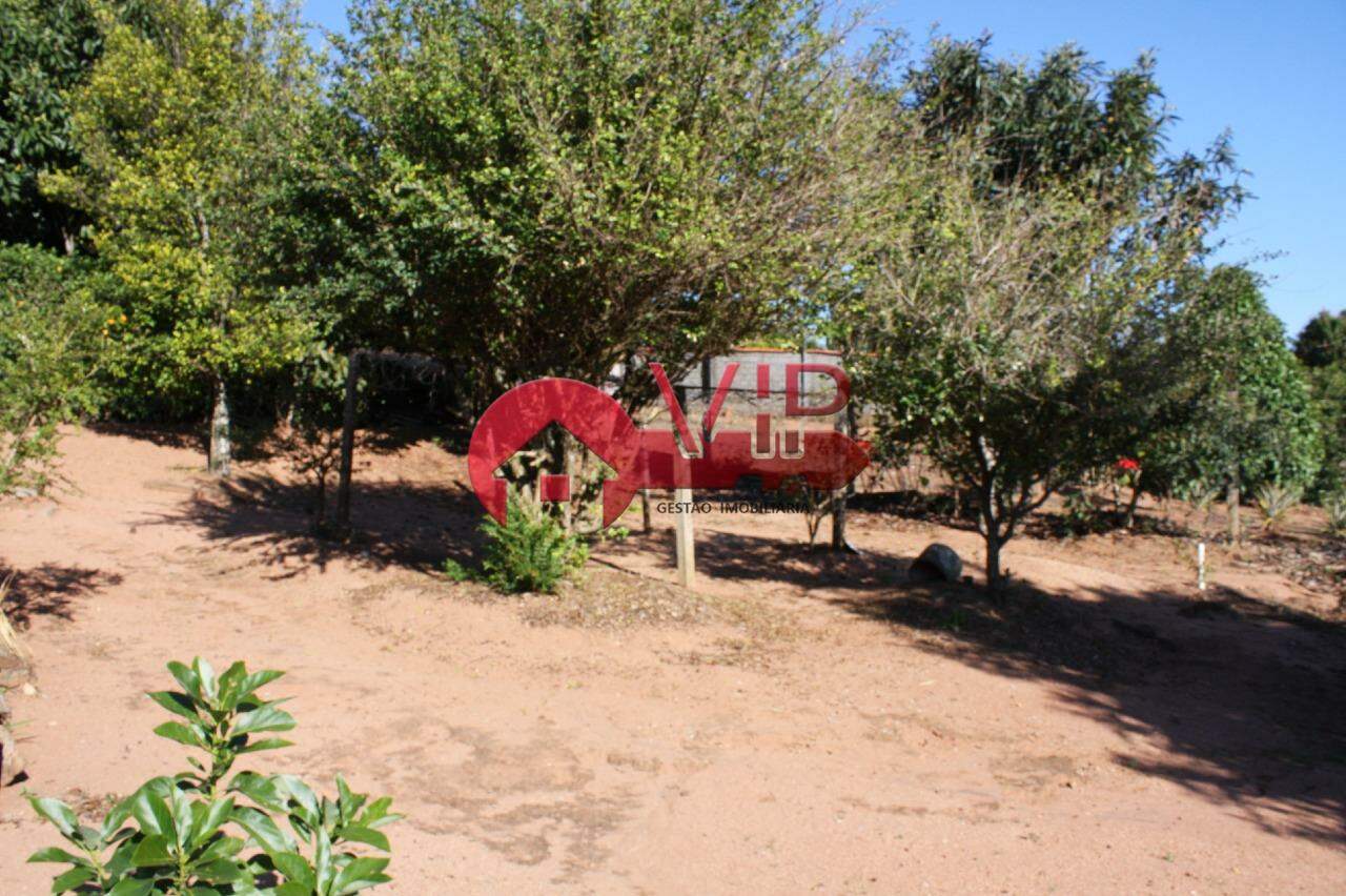 Chácara à venda no Bonsucesso: Pomar