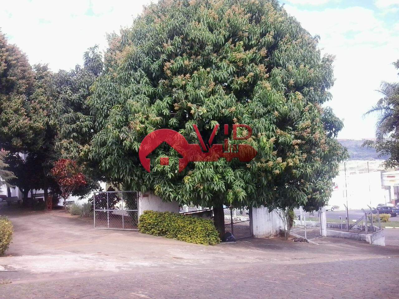 Galpão à venda no Vila Bela Vista: 