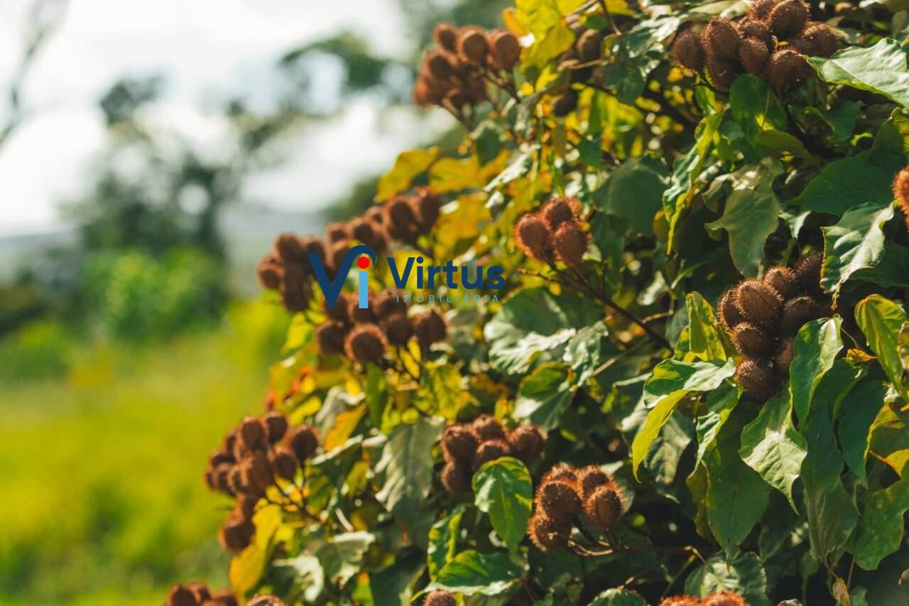 Lote/Terreno à venda no Piedade do Paraopeba: 