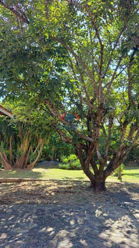 Chácara à venda no Jardim Bela Vista: