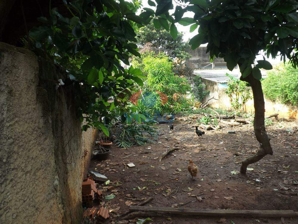 Terreno à venda no Jardim Brasil: 