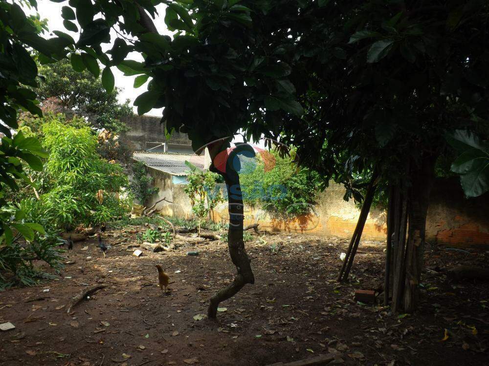 Terreno à venda no Jardim Brasil: 