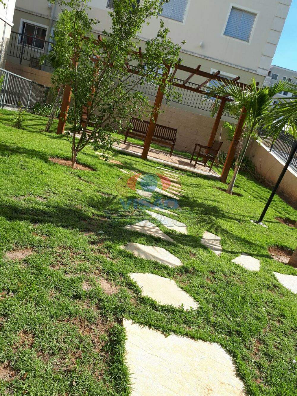 Apartamento à venda no Parque São Lourenço: 