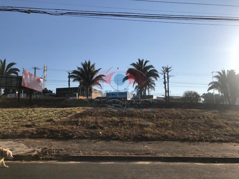 Terreno à venda no Vila Vitória: 