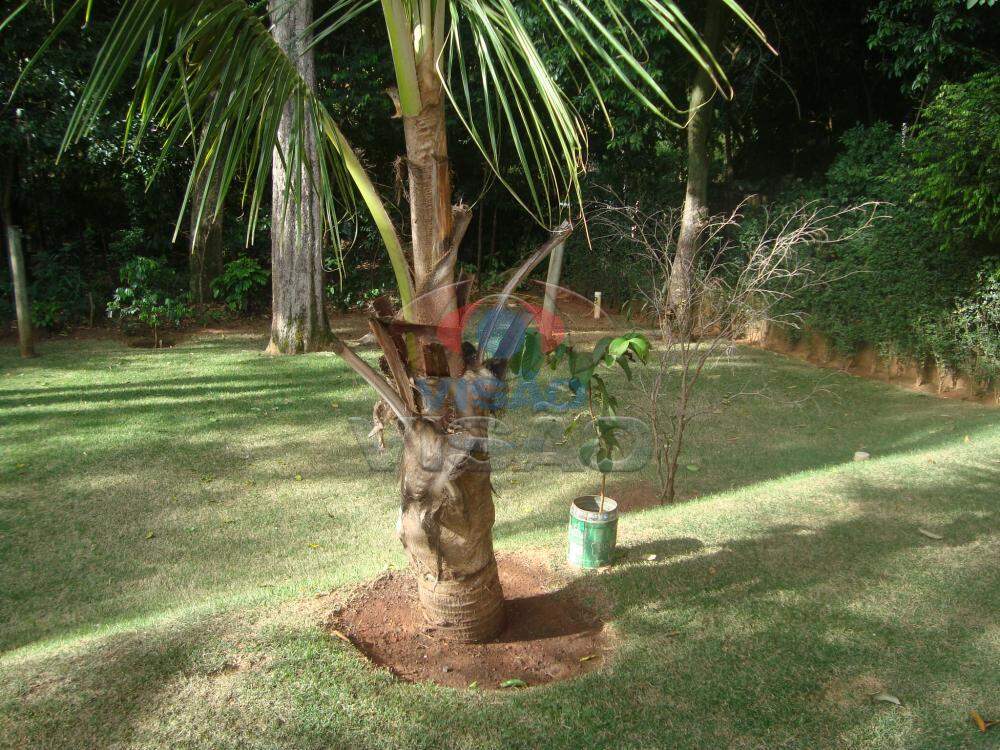 Casa em condomínio à venda no Helvétia: 