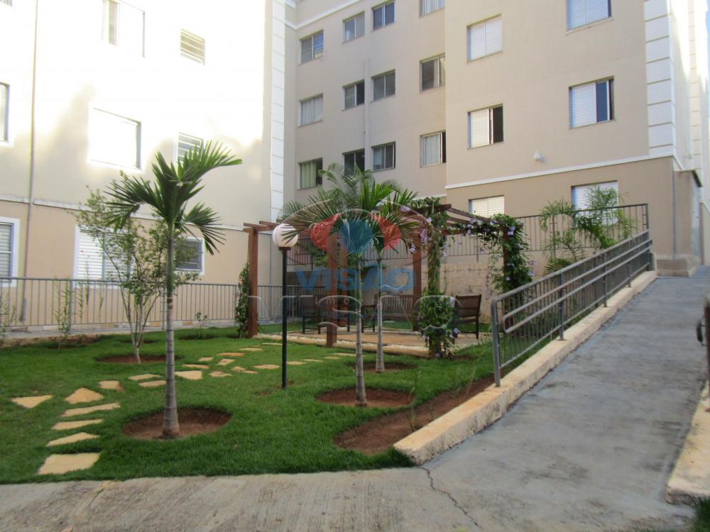 Apartamento à venda no Parque São Lourenço: 