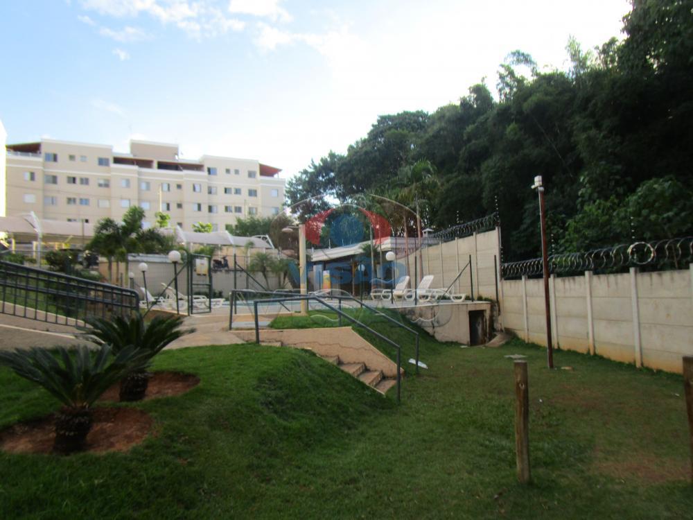 Apartamento à venda no Parque São Lourenço: 