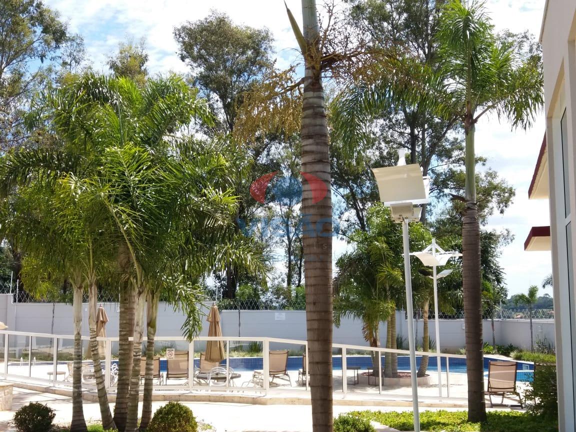 Apartamento para aluguel no Jardim Bela Vista: 