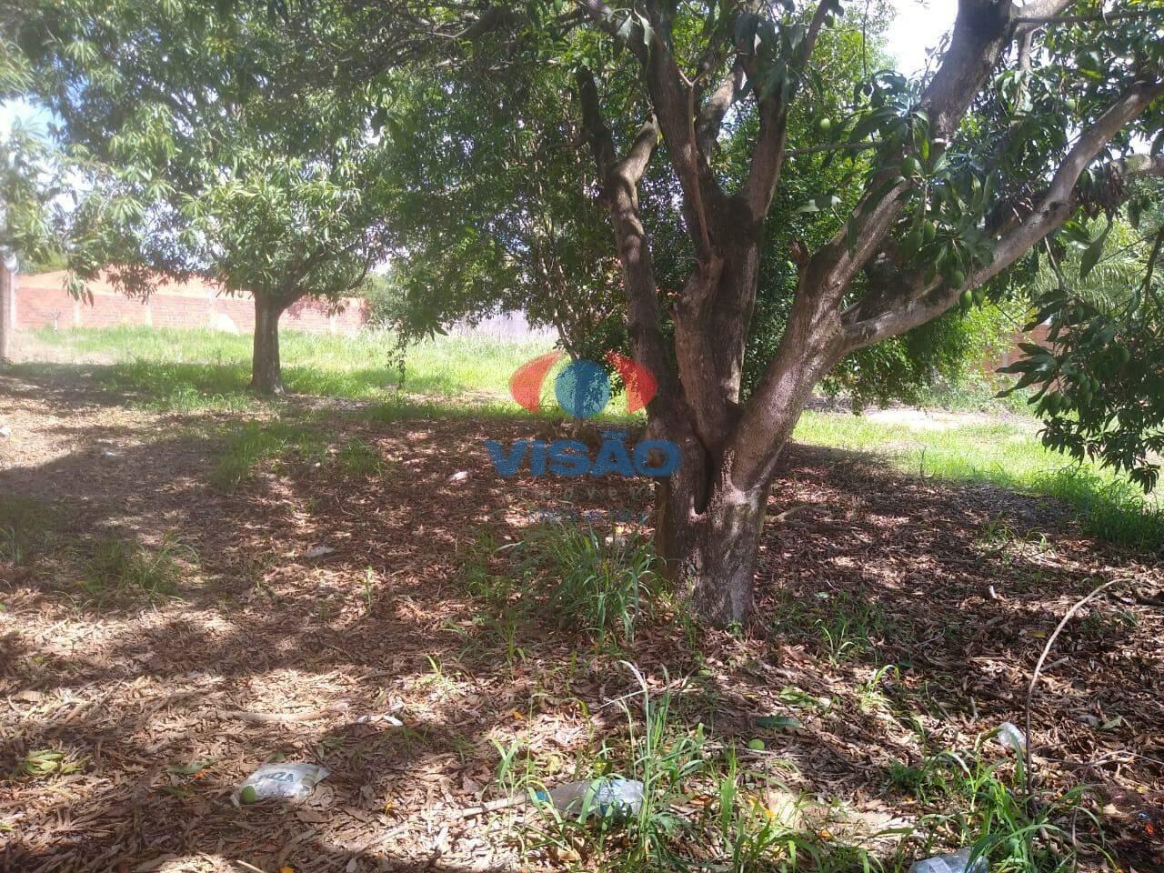 Terreno à venda no Jardim Buru: 