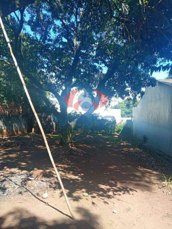 Terreno à venda no Jardim Sao Luis: