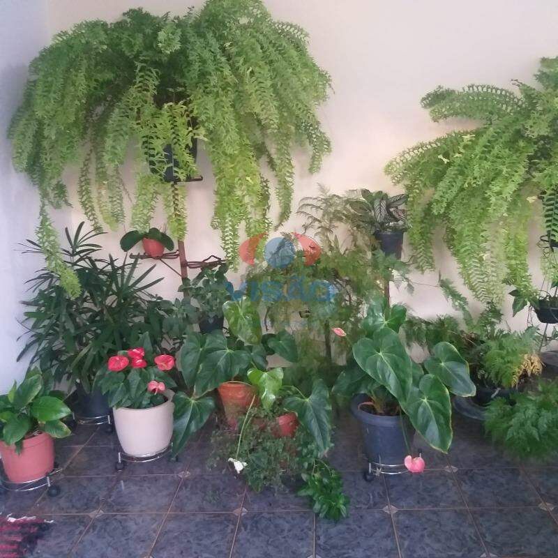 Casa à venda no Vila Brizzola: