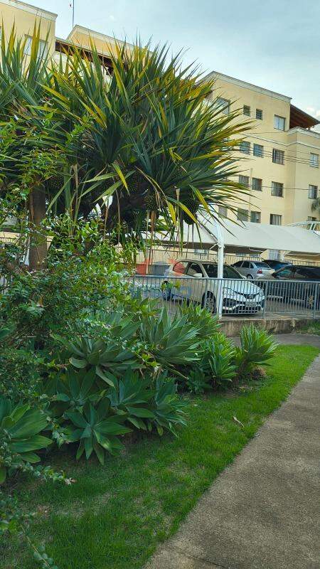 Apartamento - Cobertura à venda no Parque São Lourenço: 