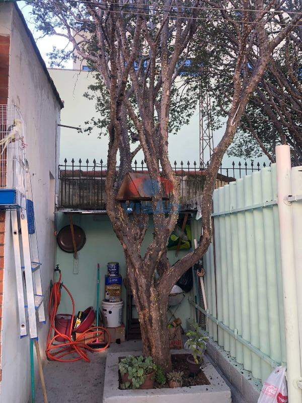 Casa à venda no Cidade Nova: 