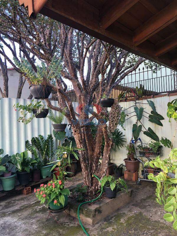 Casa à venda no Cidade Nova: 