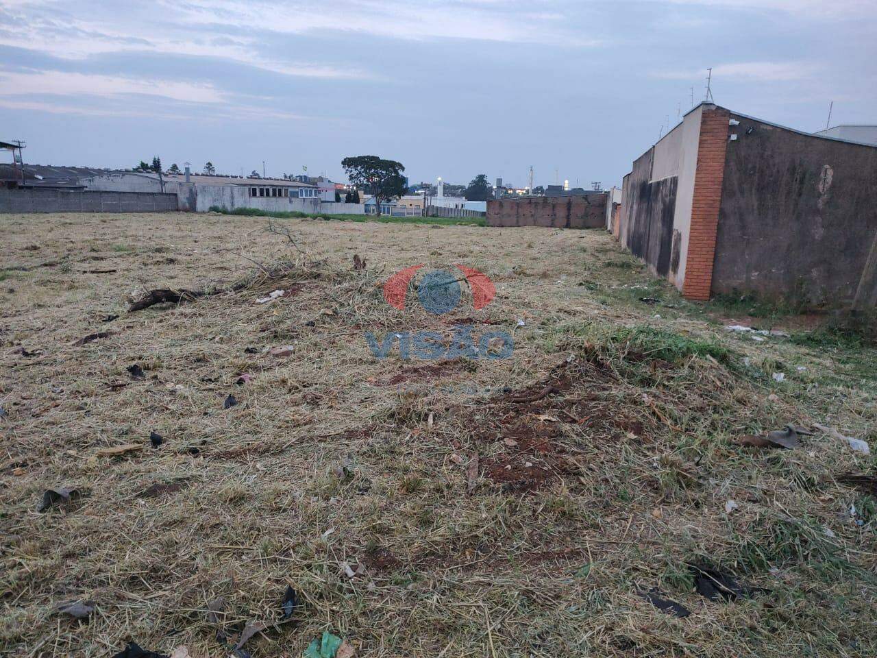 Terreno à venda no Parque Egisto Ragazzo: 