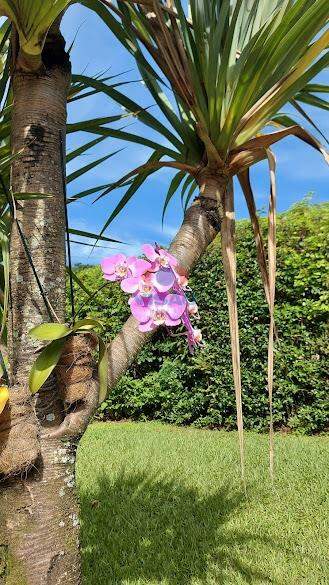 Chácara em condomínio à venda no Colinas do Mosteiro de Itaici: 