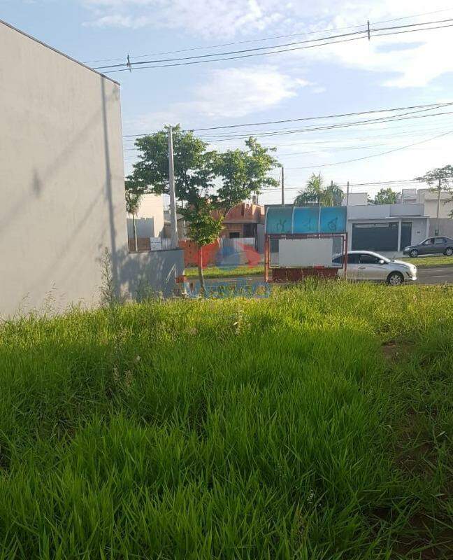 Terreno à venda no Parque Campo Bonito: 