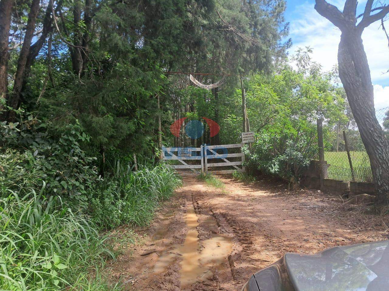 Sítio à venda no Bairro Mato Dentro: 