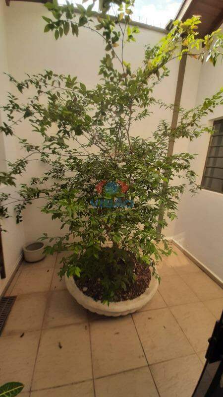 Casa à venda no Jardim Regina: