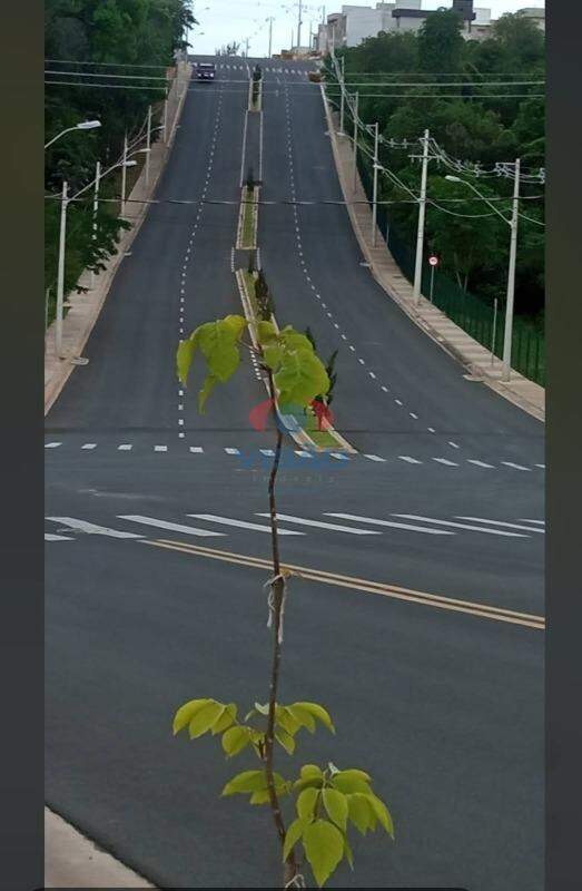 Terreno em condomínio à venda no Loteamento Park Gran Reserve: 
