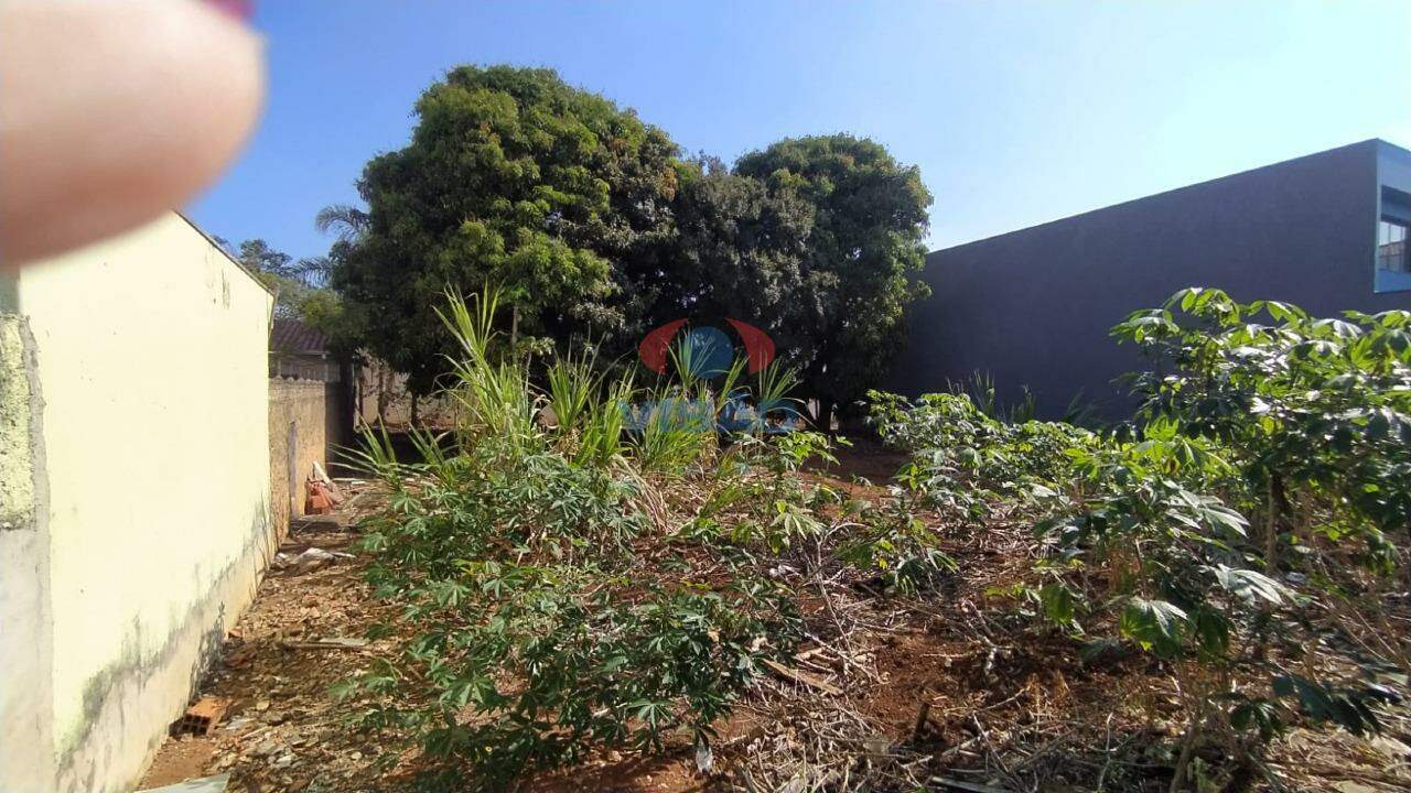 Terreno para aluguel no Cidade Nova: