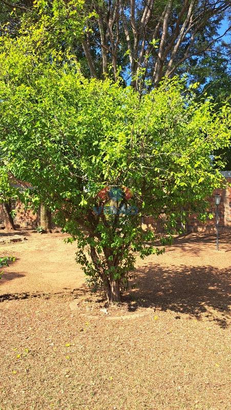 Chácara à venda no Parque das Bandeiras: 
