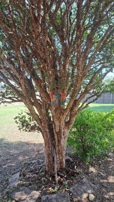 Chácara à venda no Parque das Bandeiras: 