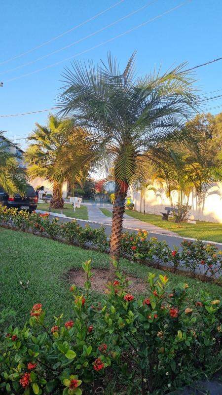 Apartamento à venda no Parque Residencial Indaia: 
