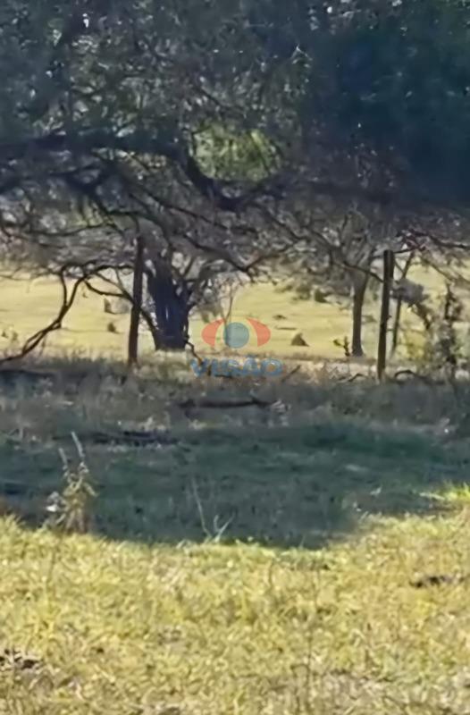 Terreno à venda no Tombadouro: 