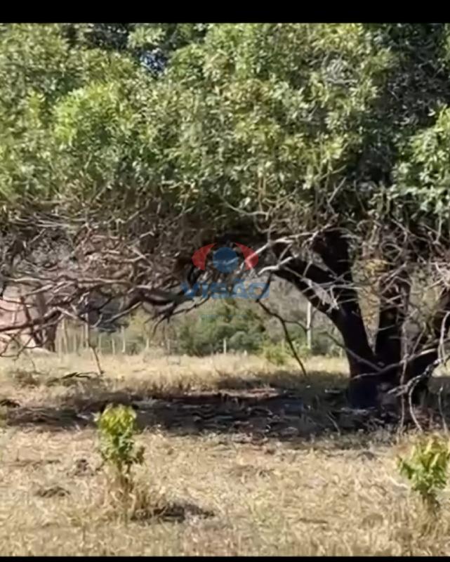 Terreno à venda no Tombadouro: 