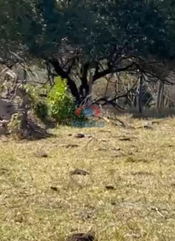 Terreno à venda no Tombadouro: 