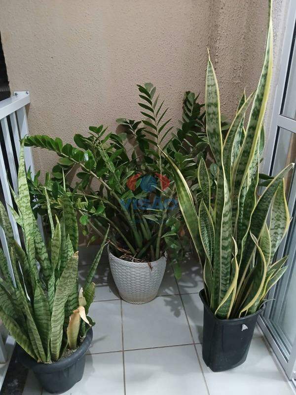 Casa à venda no Parque Campo Bonito: 