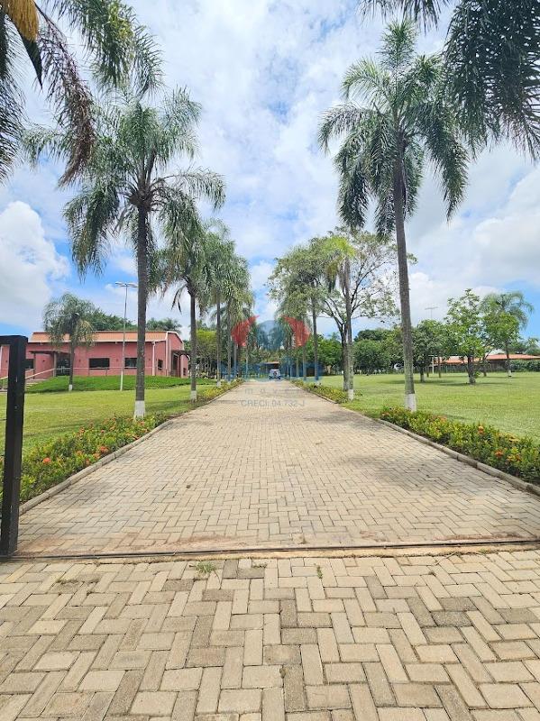 Sítio à venda no Parque da Grama: 