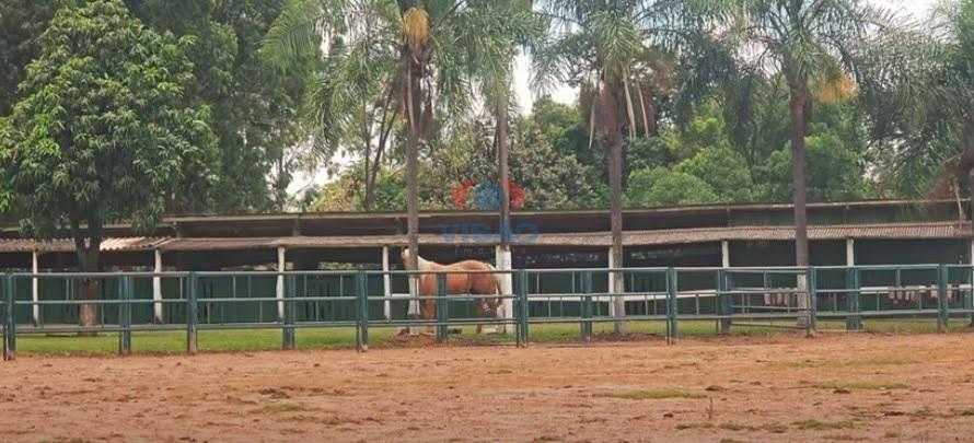 Sítio à venda no Parque da Grama: 