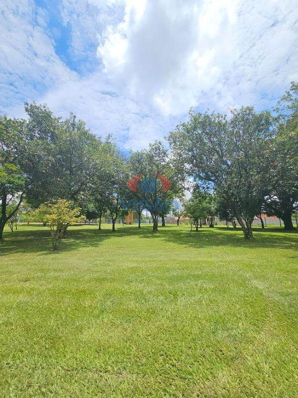 Sítio à venda no Parque da Grama: 