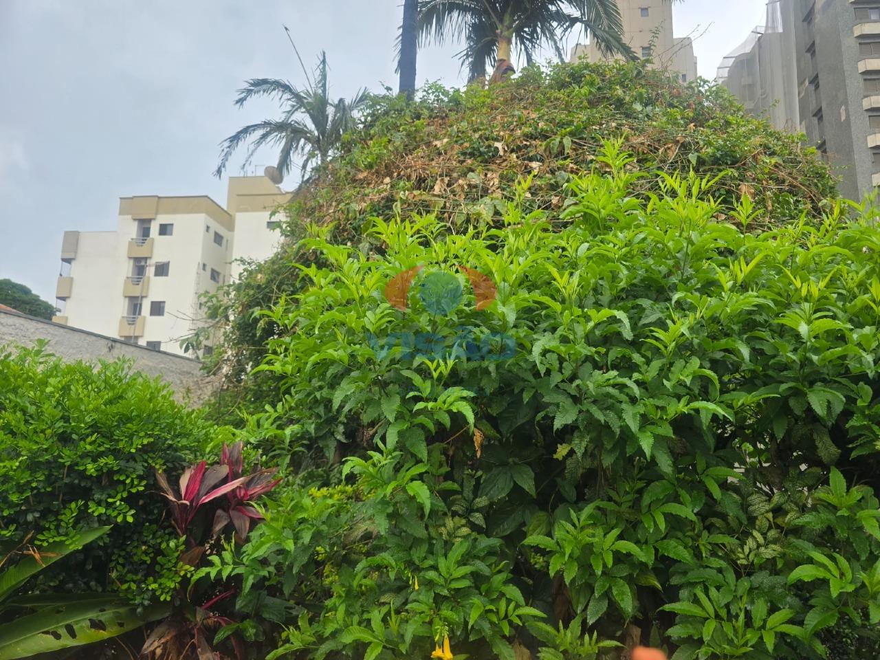 Terreno à venda no Cidade Nova: 