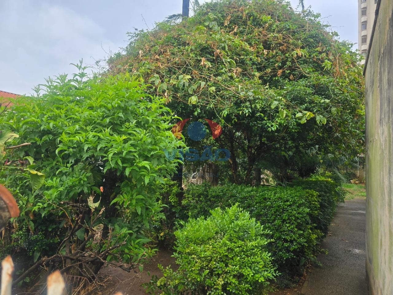 Terreno à venda no Cidade Nova: 