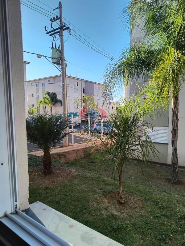 Apartamento à venda no Parque Campo Bonito: