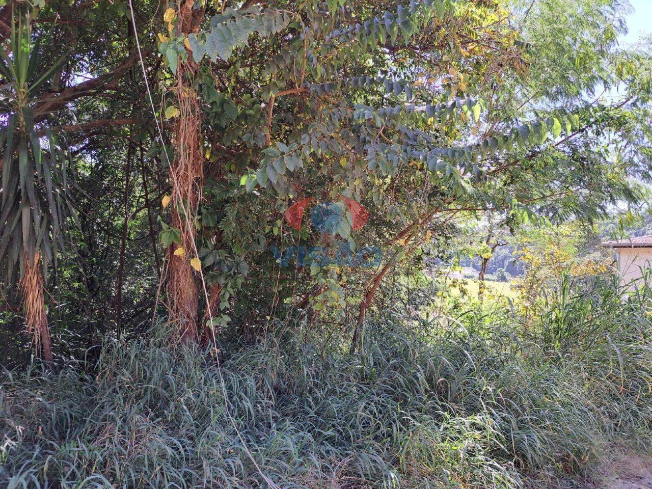 Terreno à venda no Recanto Campestre Viracopos Gleba 2: 