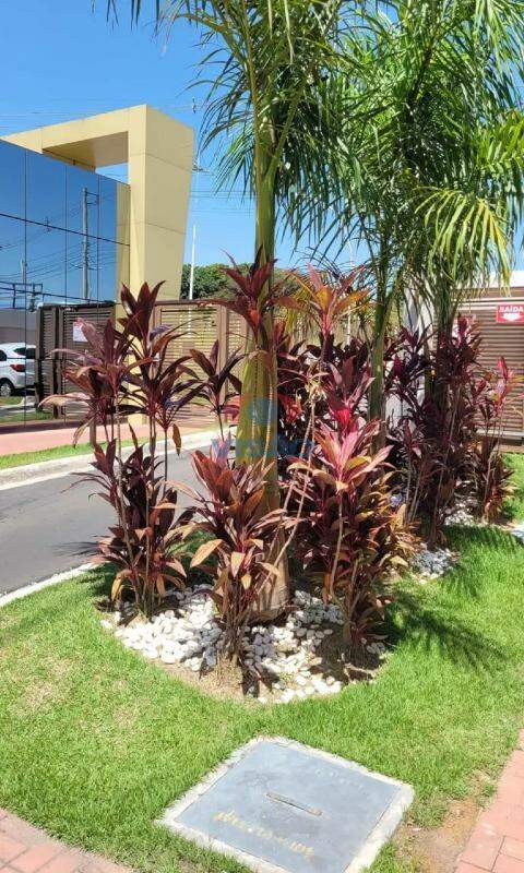 Apartamento à venda no Parque Campo Bonito: