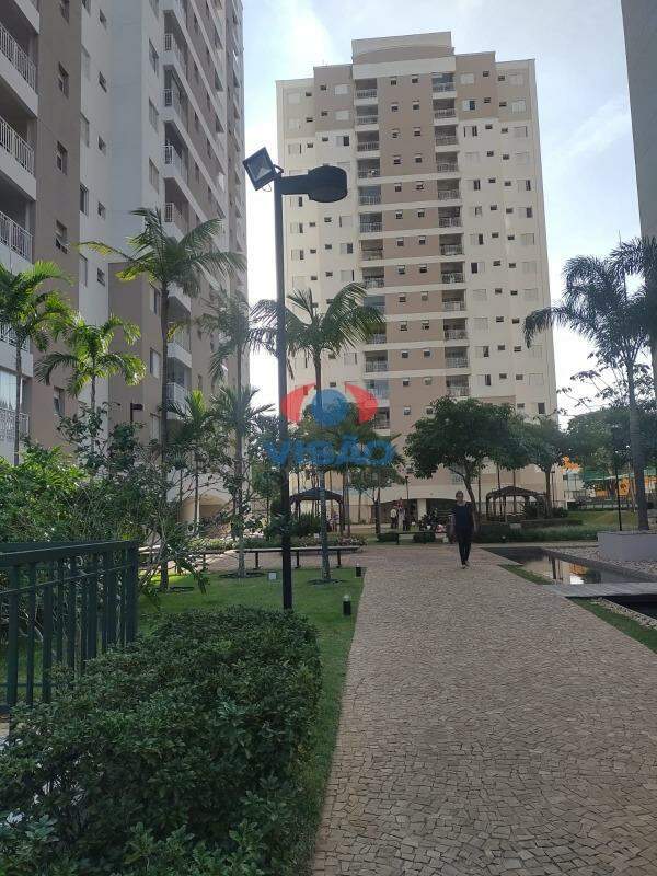 Apartamento para aluguel no Cidade Nova: 