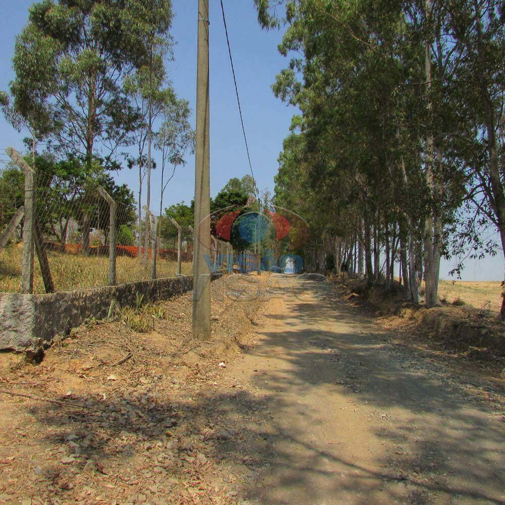 Terreno para aluguel no Mato Dentro: 