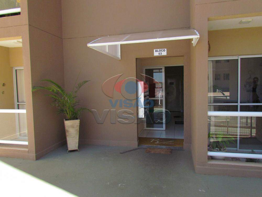 Apartamento para aluguel no Vila Brizolla: 