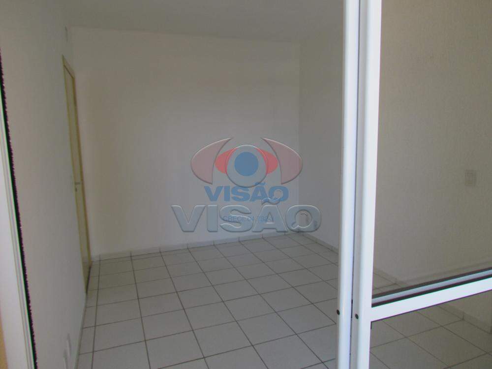 Apartamento para aluguel no Vila Brizolla: 