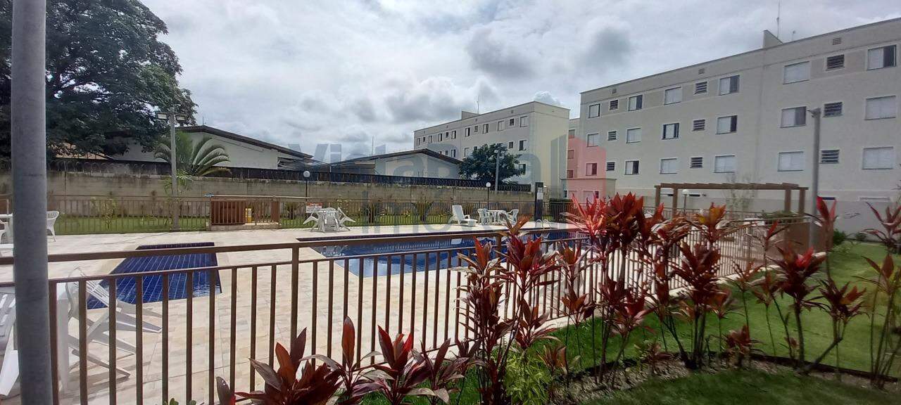 Apartamento para aluguel no Crispim: 